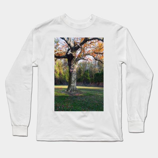 Autumn Trunk Long Sleeve T-Shirt by andykazie